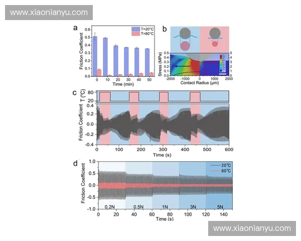 基于专项节奏模型的动态调节机制研究与应用探索
