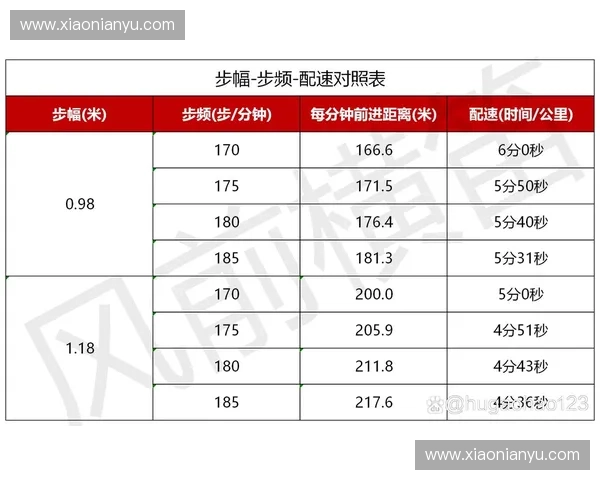 运动步频对提升跑步表现的关键作用与科学分析