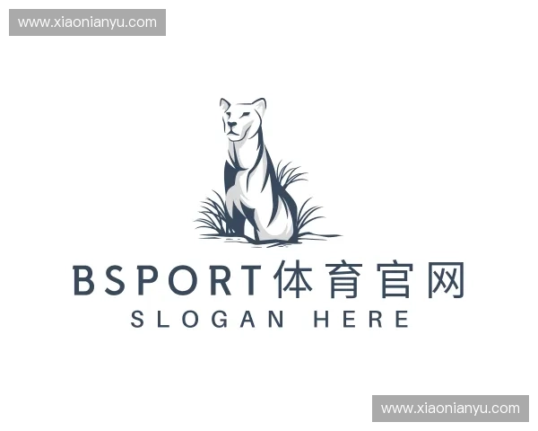 关于BSport体育官网